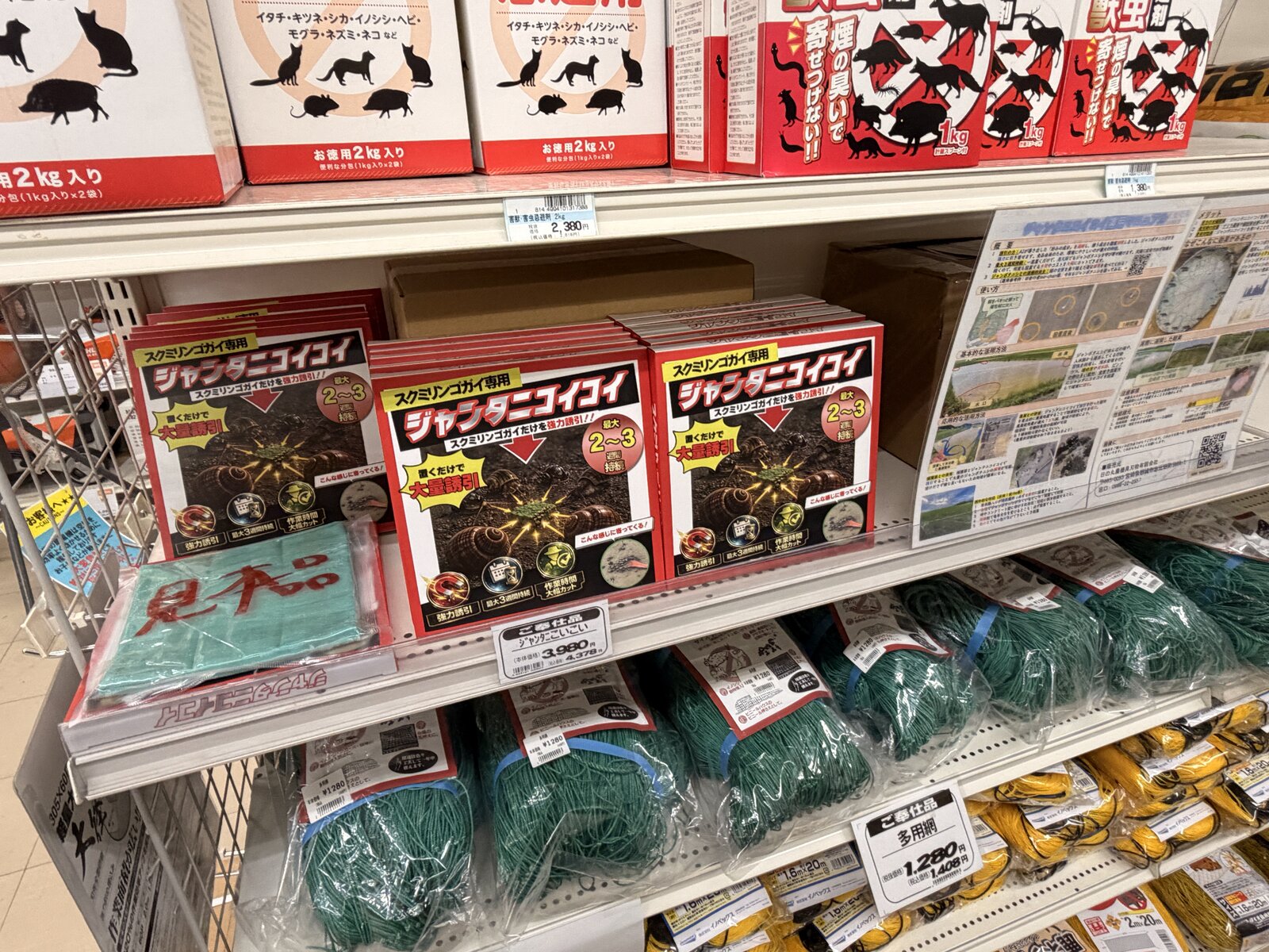 サンライズホームセンター矢部店の店頭に陳列されたジャンタニコイコイ